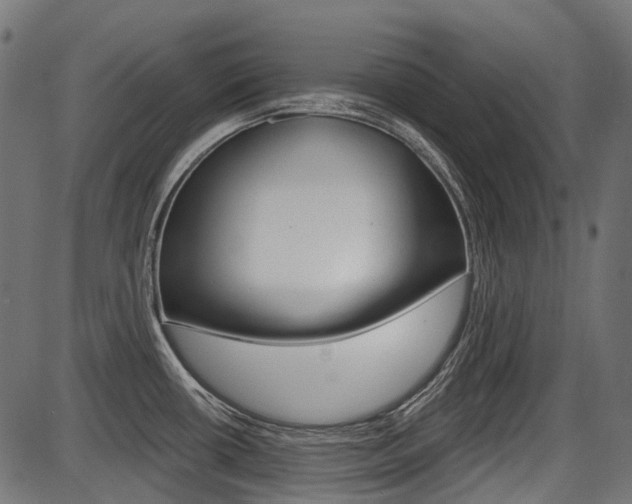 X0000087701434200705040840