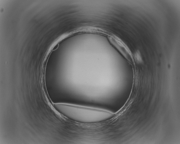 X0000087701437200705040840