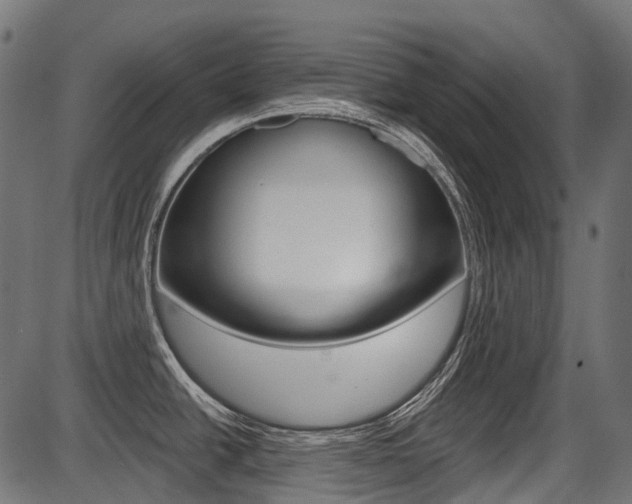 X0000087701438200705040840
