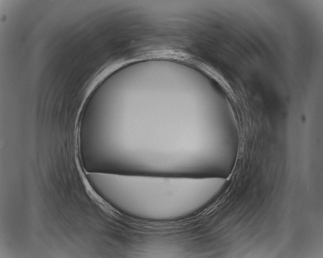 X0000087701439200705040840