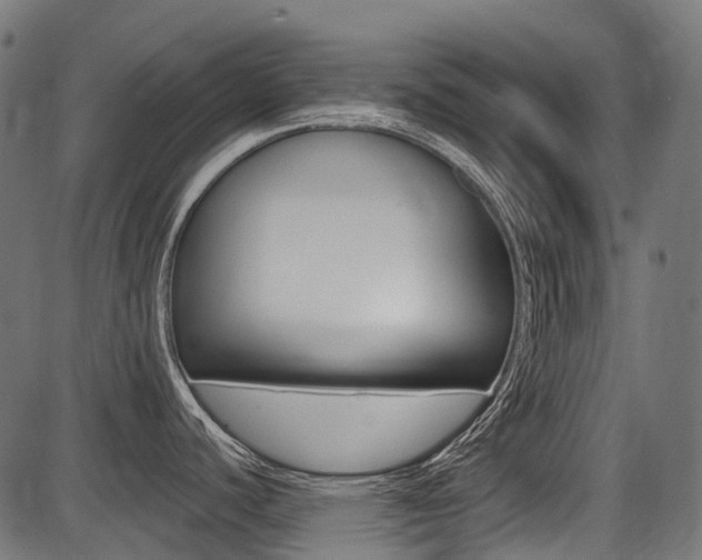 X0000087701440200705040840