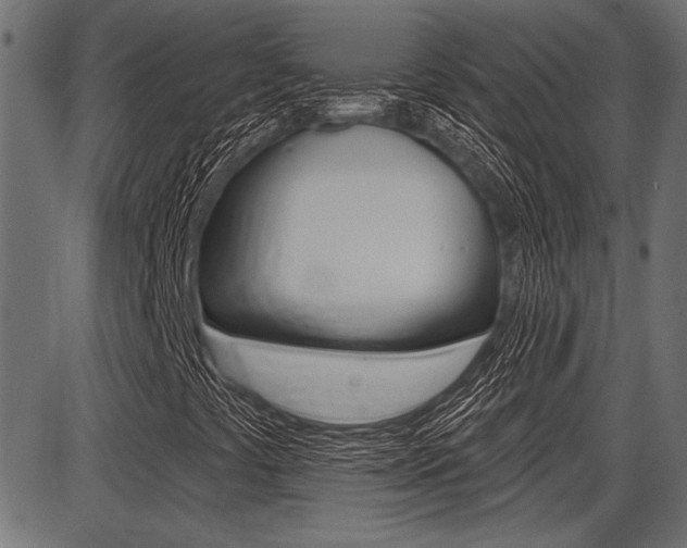 X0000087701441200705040839