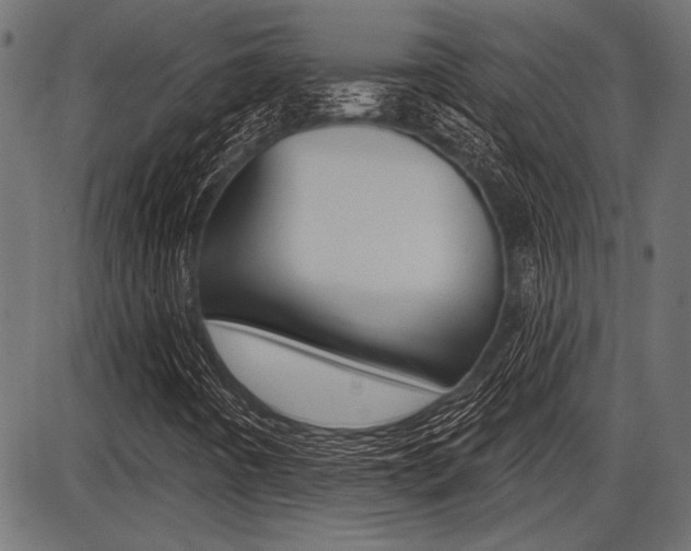 X0000087701442200705040839