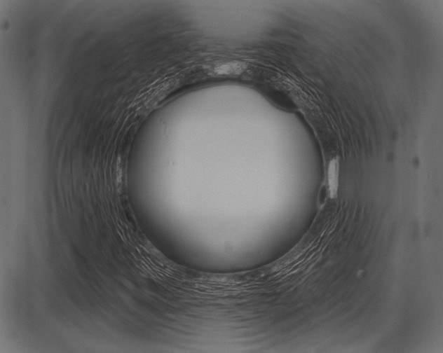 X0000087701443200705040839
