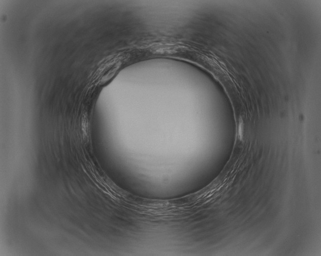 X0000087701444200705040839