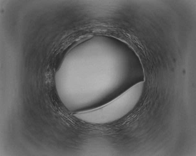 X0000087701445200705040839