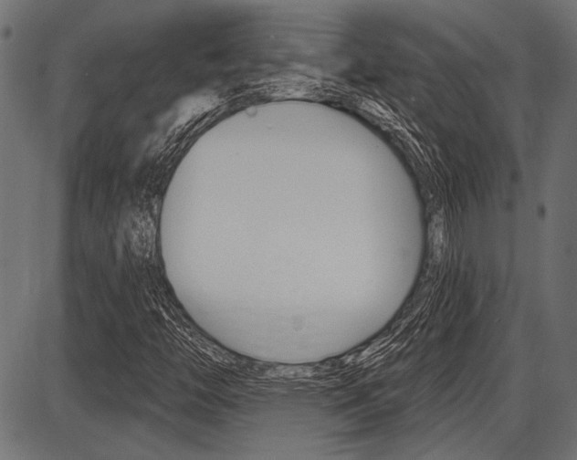 X0000087701446200705040839