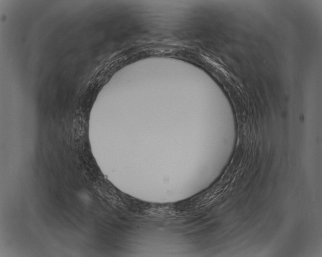 X0000087701447200705040839