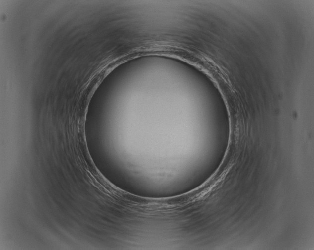X0000087701449200705040839