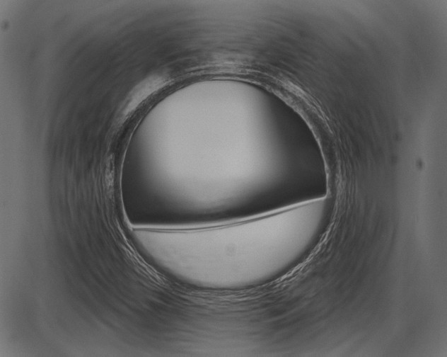 X0000087701450200705040839