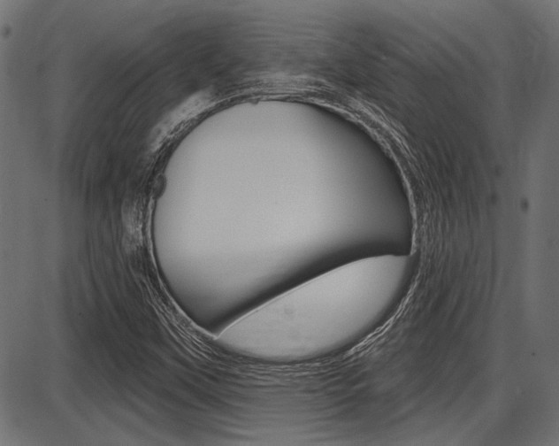 X0000087701451200705040839