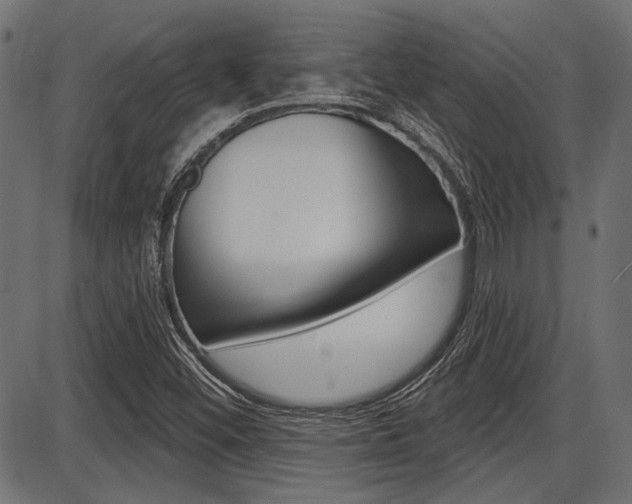 X0000087701452200705040839