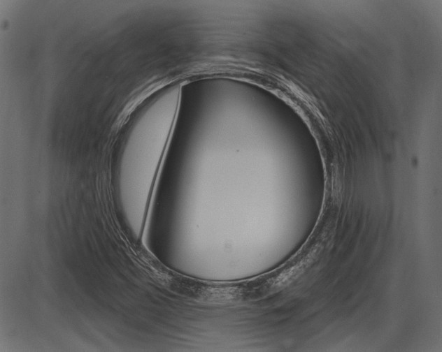 X0000087701453200705040839