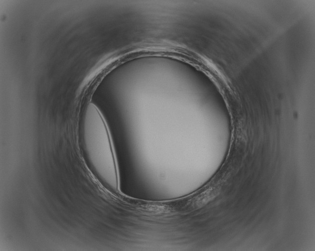X0000087701456200705040839