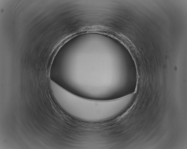 X0000087701457200705040839