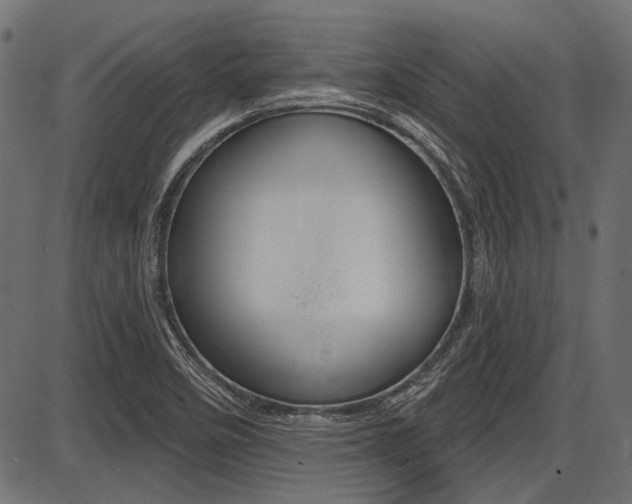 X0000087701458200705040839