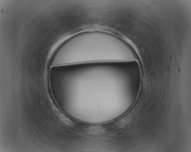 X0000087701464200705040839