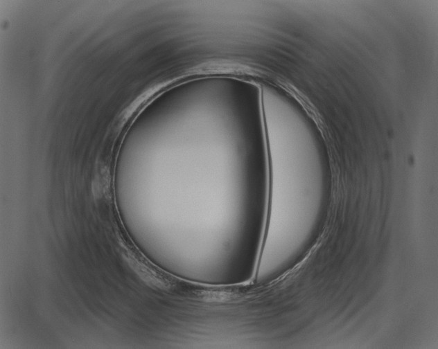 X0000087701465200705040839
