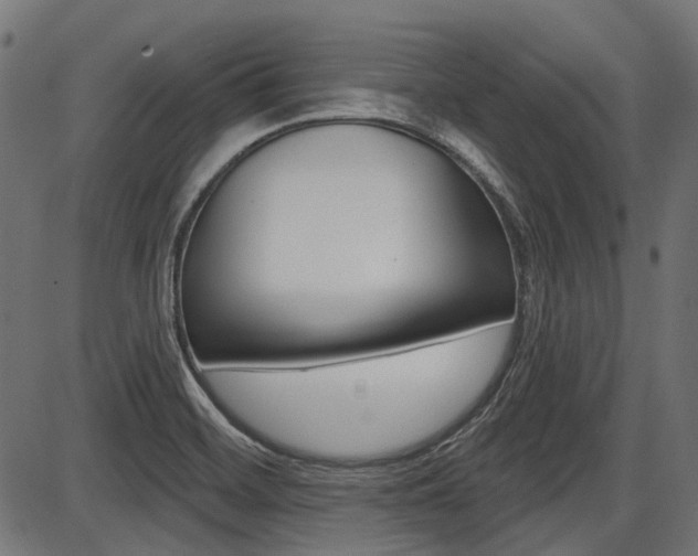 X0000087701468200705040839