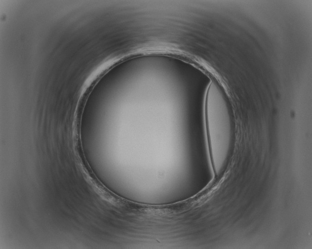 X0000087701469200705040839