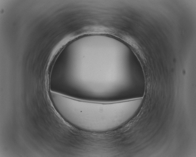 X0000087701472200705040839