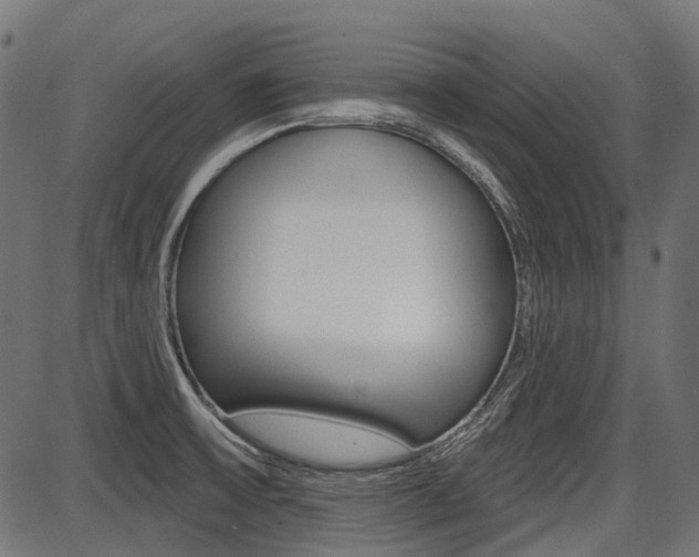X0000087701475200705040839