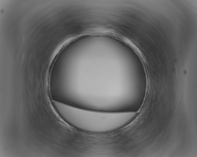 X0000087701477200705040839