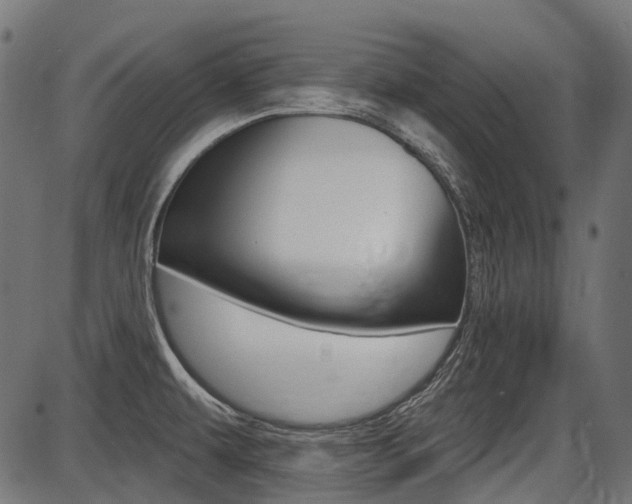 X0000087701479200705040839