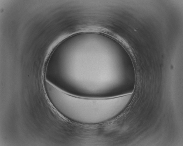 X0000087701480200705040839