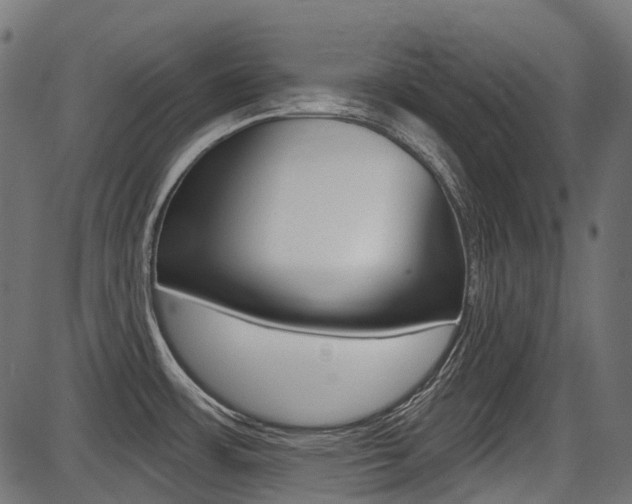 X0000087701483200705040839