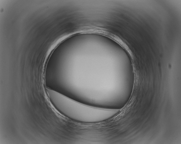 X0000087701485200705040839