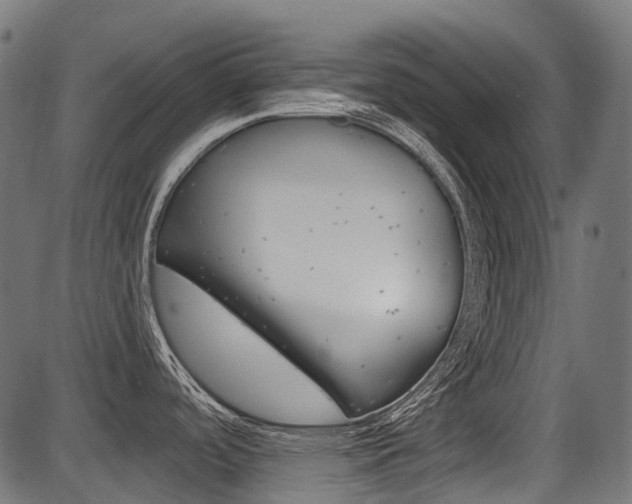 X0000087701488200705040838