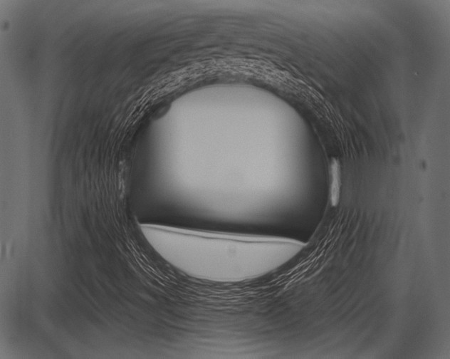 X0000087701491200705040838