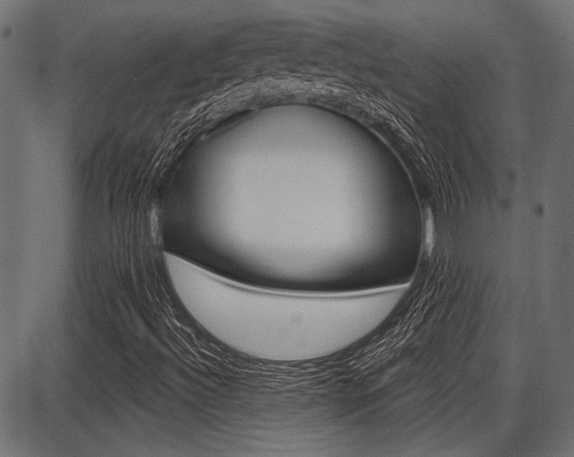 X0000087701492200705040838