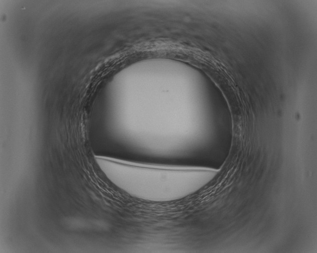 X0000087701493200705040838