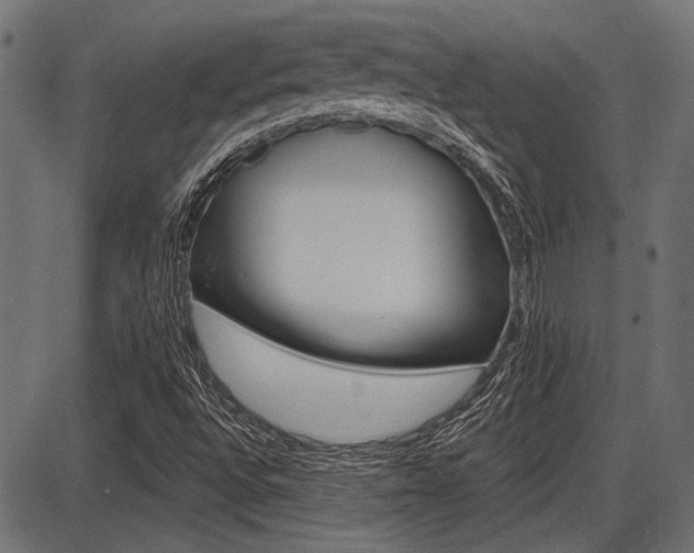 X0000087701496200705040838