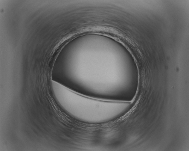 X0000087701497200705040838