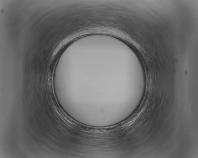 X0000087701498200705040838