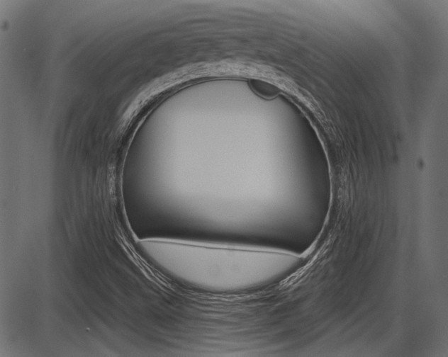 X0000087701499200705040838