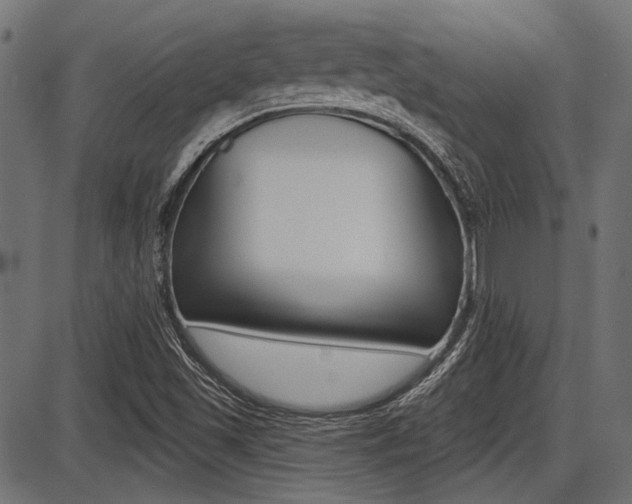 X0000087701501200705040838