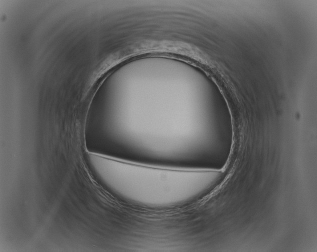 X0000087701505200705040838