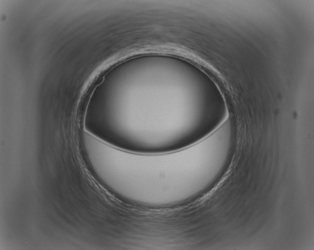 X0000087701506200705040838
