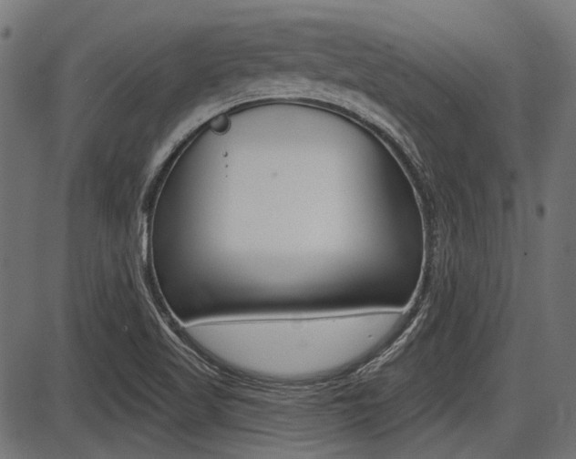 X0000087701509200705040838