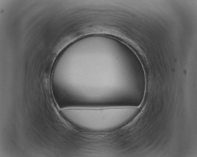 X0000087701513200705040838