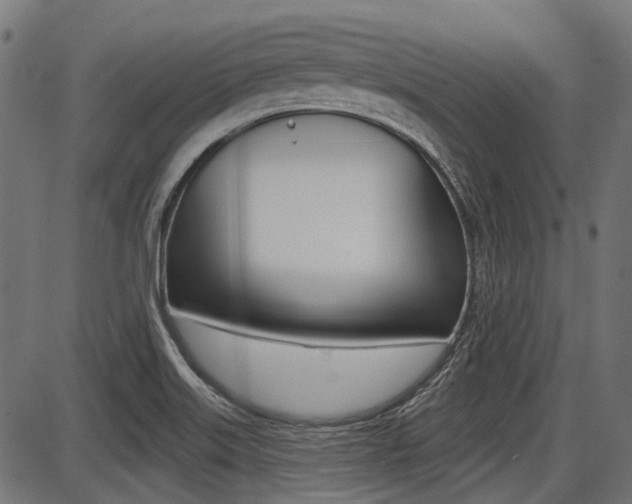 X0000087701515200705040838