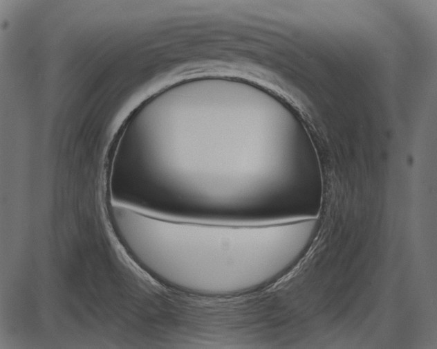 X0000087701518200705040838