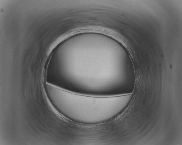 X0000087701523200705040838