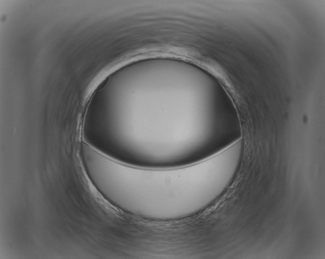 X0000087701524200705040838