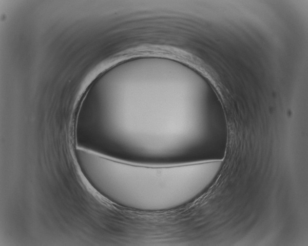 X0000087701531200705040838