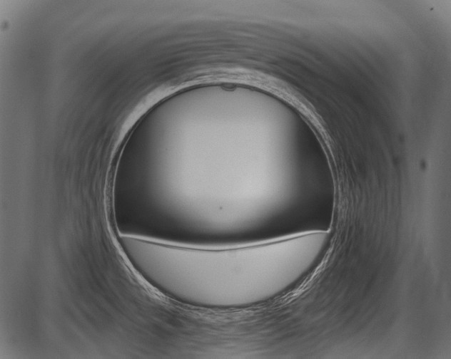 X0000087701533200705040838